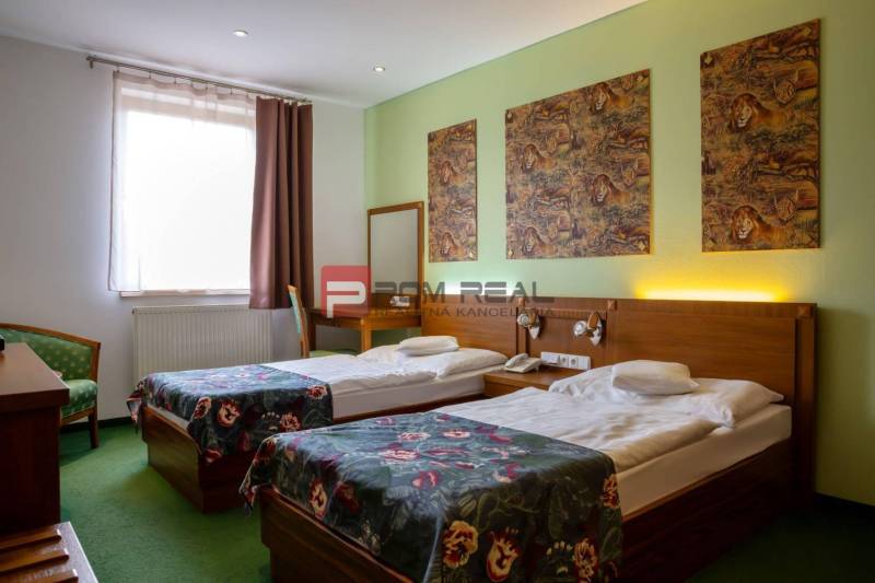PREDAJ B&B Hotel v Starom meste - škola, centrum medicíny - Hotelová izba s dvomi posteľami, obrazmi leva a dreveným nábytkom.