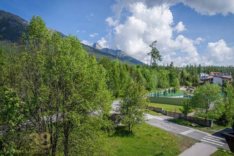 Znížená cena: priestranný apartmán s TOP polohou v Starom Smokovci - Výhľad z Rekreačného apartmánu vo Vysokých Tatrách zahŕňa zeleň a horskú scenériu.