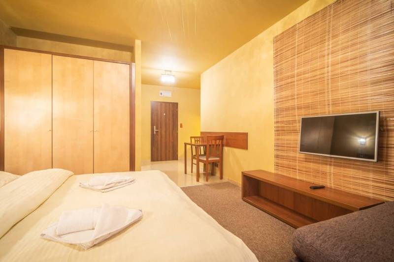 Príjemný apartmán s terasou v podhorí Vysokých Tatier - Rekreačný apartmán s dvojlôžkom, televíziou na stene a dreveným nábytkom.