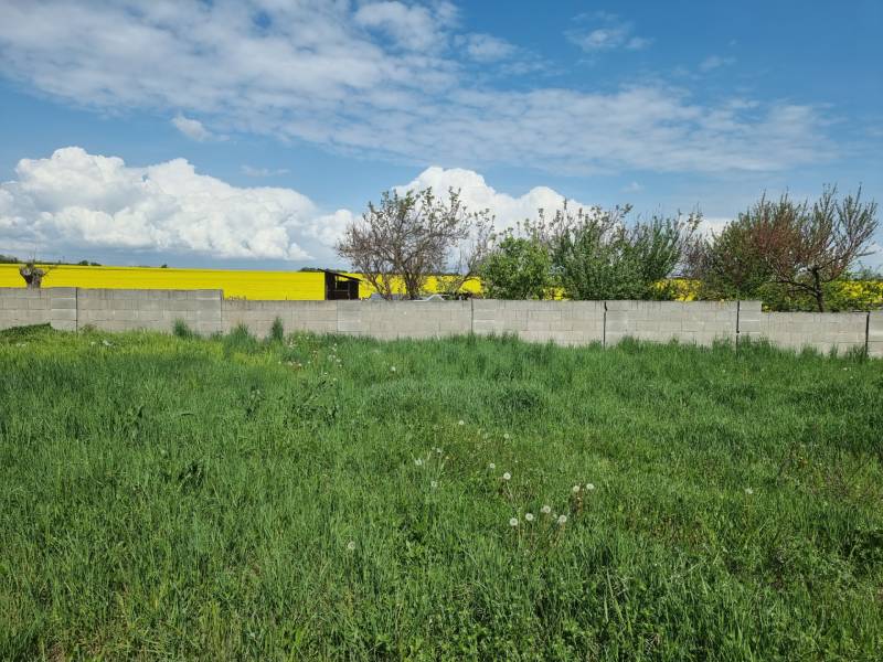 PREDAJ - Krásny rovinatý pozemok 1090 m2 - Cabaj-Čápor - Zelený pozemok obklopený múrom s výhľadom na žlté pole v Cabaj-Čápore. Pozemky - bývanie.
