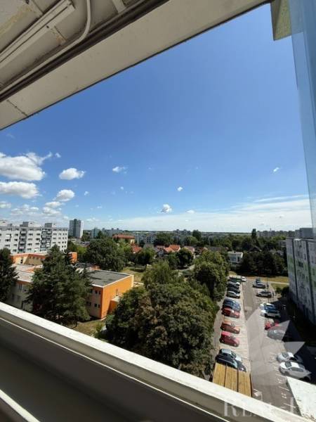 PREDAJ 2 IZBOVÝ BYT VO VYHĽADÁVANEJ LOKALITE BA II BUČINOVÁ ULICA - Výhľad z 2-izbového bytu na Bučinovej ulici, Bratislava - Vrakuňa, so zeleňou a autami.