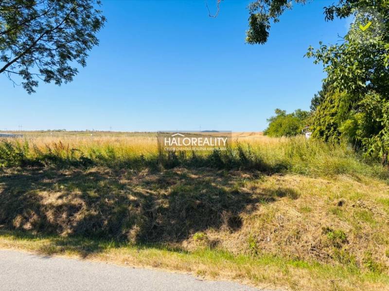Predaj, pozemok pre rodinný dom   1115 m2 Horná Krup... - Trávnatá plocha obklopená stromami v meste Horná Krupá, pozemky - bývanie.