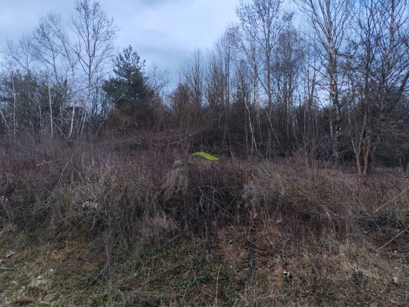 Pozemok snov pri vodnej ploche Domaša – Holčíkovce, Eva - Krajinovitá scenéria na rekreačných pozemkoch na ulice Eva v Holčíkovciach.