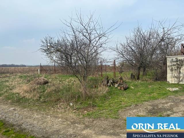 Zálesie orná pôda na predaj 3237m2 /21,- Eur / m2 - Poľnohospodárske a lesné pozemky na ulici Domky v Zálesí s viditeľnými stromami a cestou.