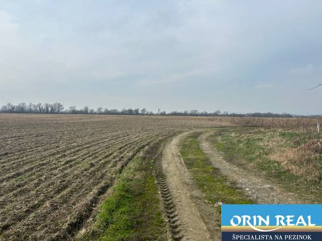 Zálesie orná pôda na predaj 3237m2 /21,- Eur / m2 - Poľnohospodárske a lesné pozemky v Zálesí na ulici Domky s poľnou cestou.