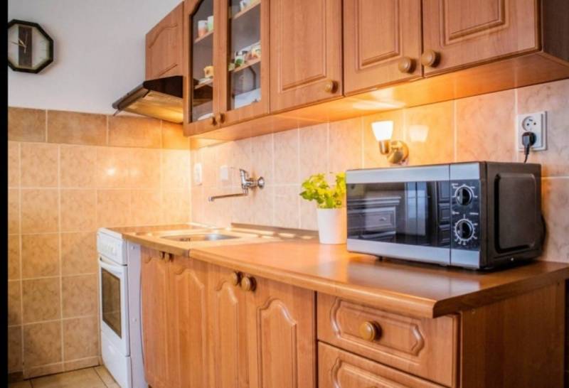NA PRENÁJOM 1,5-IZBOVÝ BYT S PIVNICOU, ČÍČOV - Kuchynská linka v 1-izbovom byte s mikrovlnnou rúrou a drevenými skrinkami.