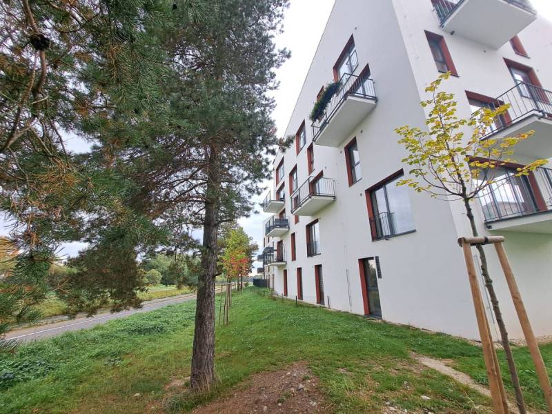 Moderný byt v novostavbe vo Svite na prenájom - Bytový dom na Jilemnického v Svite, vedľa zelene a stromov.