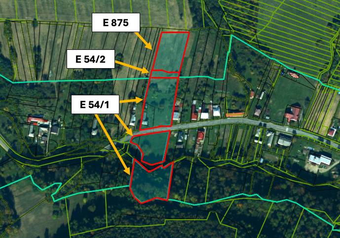 Ladomirov – 1.771 m2 INVESTIČNÉ pozemky – NA PREDAJ - Mapa katastrálneho územia Ladomirova zobrazujúca poľnohospodárske a lesné pozemky s parcelami E 875, E 54/2, E 54/1.