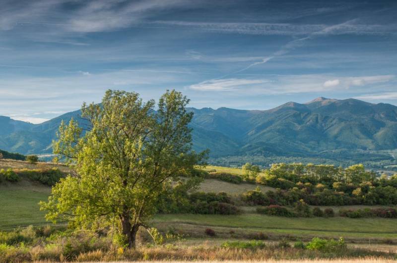 Sučany – 5.375 m2 ORNÁ PÔDA - PREDAJ - Krajina Poľnohospodárskych a lesných pozemkov pri Sučanoch s panorámou hôr a stromom v popredí.