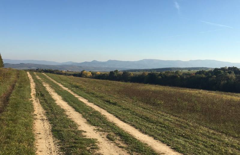 Prievidza – 986 m2 ORNÁ PÔDA - PREDAJ - Poľnohospodárske a lesné pozemky, poľná cesta s výhľadom na kopce v okolí Prievidze.