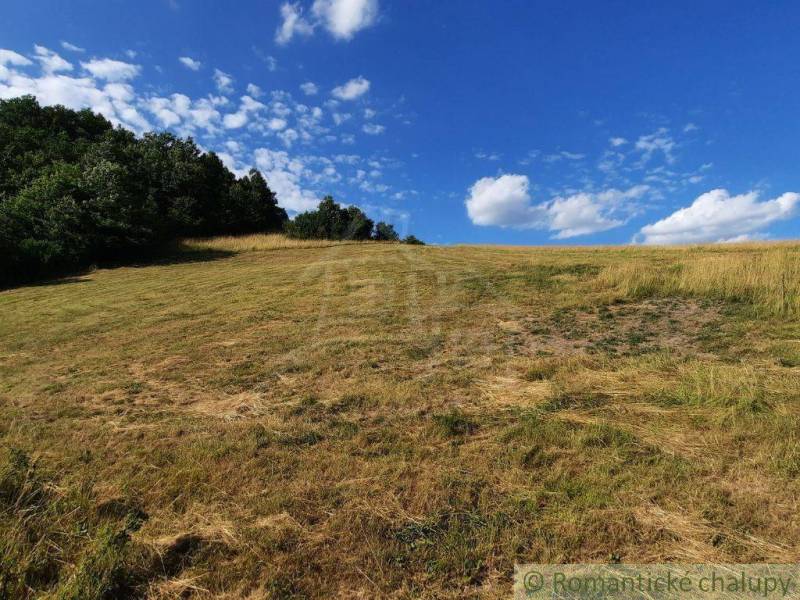 Na predaj slnečný pozemok 5854 m² – Župkov, tichá lokalita s výhľadom - Trávnatá lúka so stromami pod modrou oblohou v okolí Záhrad v Žarnovici.
