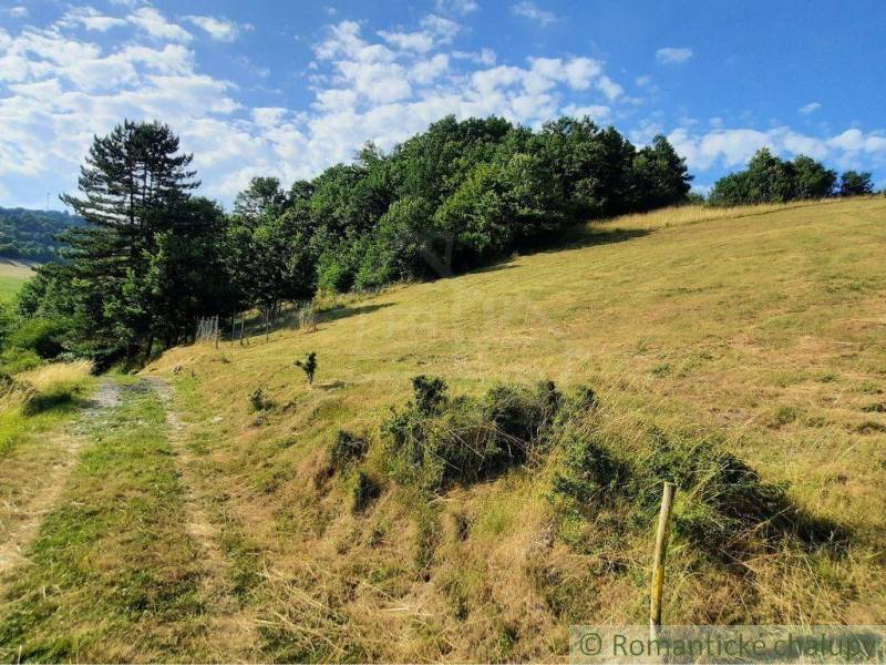 Na predaj slnečný pozemok 5854 m² – Župkov, tichá lokalita s výhľadom - Kopcovitý terén s cestičkou, trávnaté porasty a stromy v Žarnovici, Záhrady.