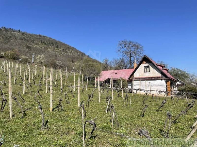 Rozsiahla vinica s historickou chatou v Slovenskom krase - Chata s červenou strechou obklopená vinicou, kopce na obzore. Zvláštne nehnuteľnosti.