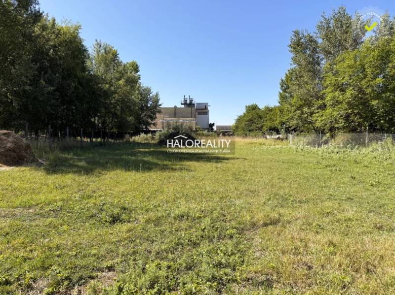 Predaj, pozemok pre rodinný dom   3788 m2 Veľký Mede... - Pozemky - bývanie vo Veľkom Mederi s trávnatou plochou a stromami, vhodné na výstavbu.