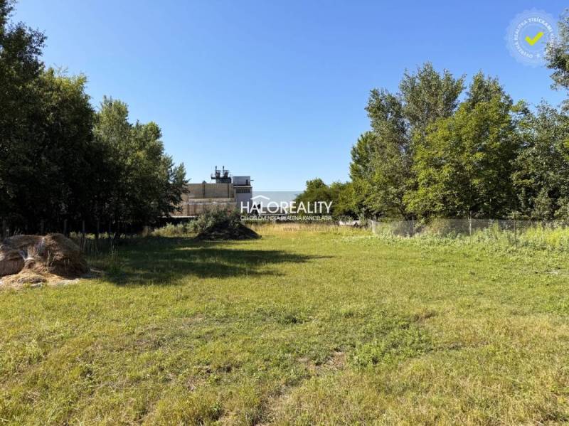 Predaj, pozemok pre rodinný dom   3788 m2 Veľký Mede... - Zelený pozemok určený na bývanie vo Veľkom Mederi, obklopený stromami a trávou.