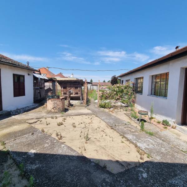 Rodinný dom na predaj - Malacky. - Dvor rodinného domu na Riadku v Malackách s úpravami a zeleňou.