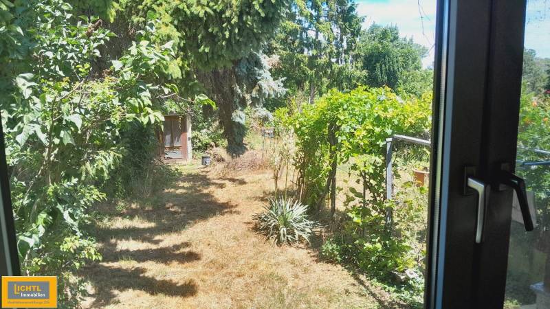 Predaj rodinného domu, Neusiedl am See - Útulná záhrada rodinného domu v Potzneusiedli s bujnou vegetáciou a stromami.
