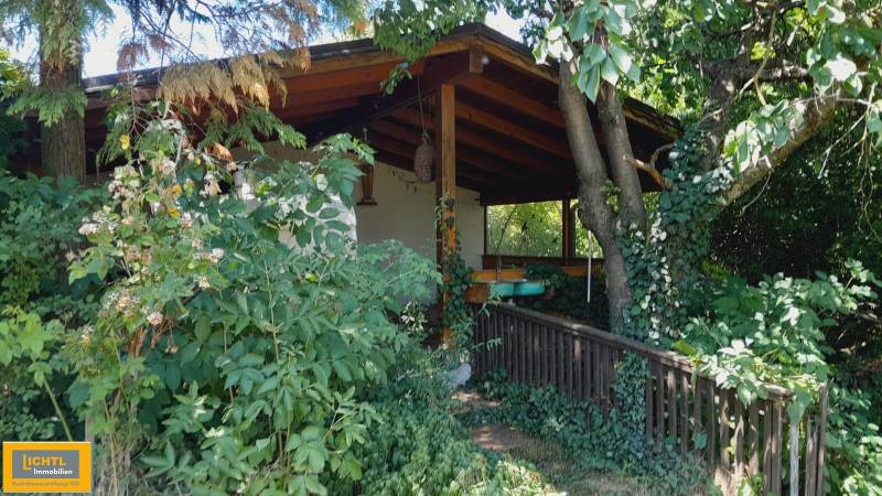 Predaj rodinného domu, Neusiedl am See - Zarastená terasa rodinného domu v Potzneusiedli obklopená stromami a zeleňou.