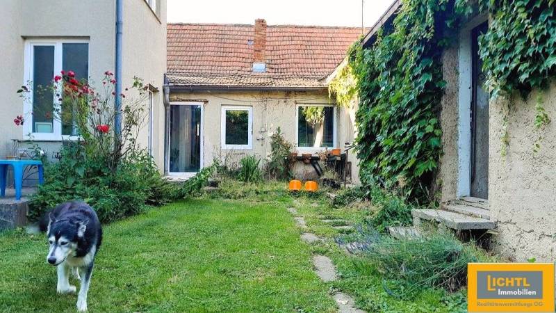 Predaj rodinného domu, Neusiedl am See - Záhrada pri rodinnom dome v Kittsee s psom a popínavými rastlinami na fasáde.