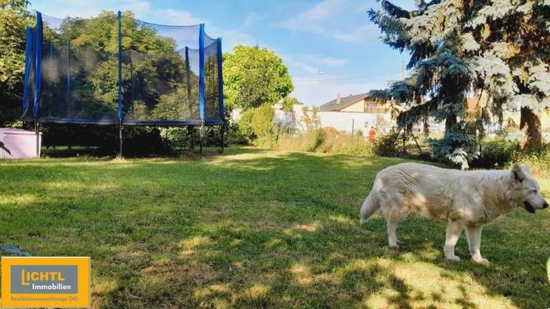 Predaj rodinného domu, Neusiedl am See - Rodinný dom v Kittsee s trampolínou a psom na zelenej záhrade.