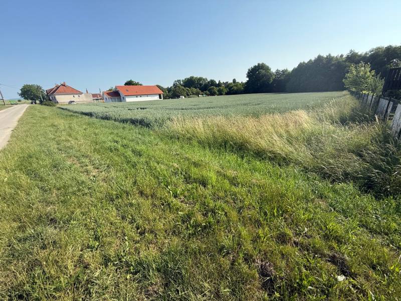 BOJNA - investičný pozemok na výstavbu RD, výborna lokalita - Trávnaté pozemky na bývanie v Bojnej; domy, pole a cesta vedľa lesa.