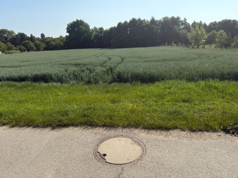 BOJNA - investičný pozemok na výstavbu RD, výborna lokalita - Zeleň a pole obklopené stromami, ideálne pre pozemky - bývanie v Bojnej.