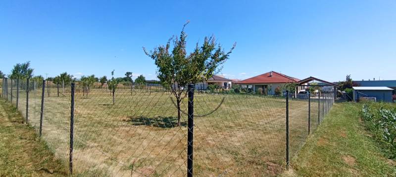 Predáme investičný pozemok, 633 m2, Nitra - Párovské Háje - Oplotený trávnatý pozemok v Nitre s mladými stromami, domy v pozadí. Pozemky - bývanie.