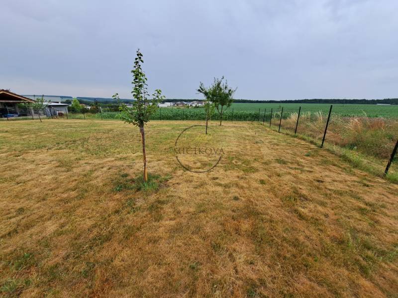 Predáme investičný pozemok, 633 m2, Nitra - Párovské Háje - Rozľahlé pozemky na bývanie v Nitre s mladými stromami a oplotením.