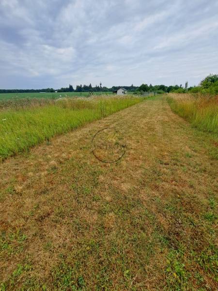 Predáme investičný pozemok, 633 m2, Nitra - Párovské Háje - Zeleň a poľná cesta v oblasti pozemkov na bývanie v Nitre.