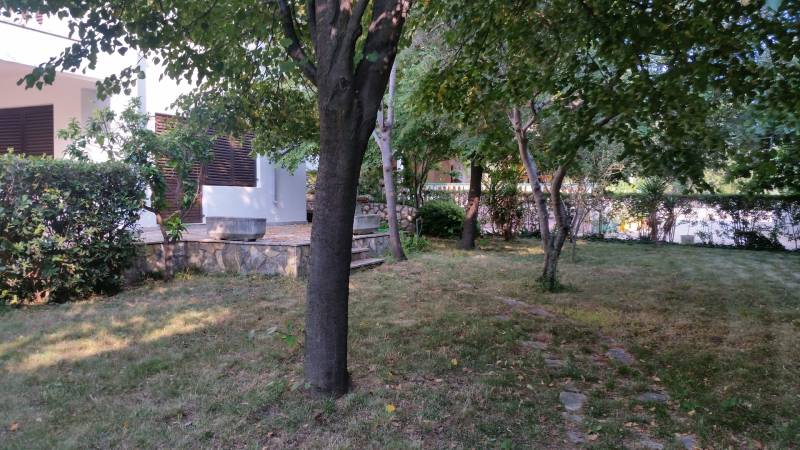 CHORVÁTSKO - 2. rad od mora - apartmánový dom - VRSI, Zadar - Záhrada s trávnikom a stromami pri rodinnom dome vo Vrsiach, obklopená zeleňou a kríkmi.