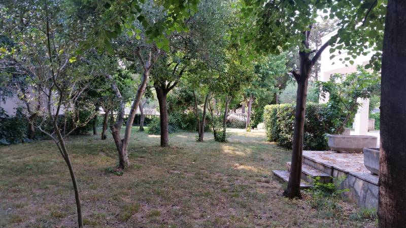 CHORVÁTSKO - 2. rad od mora - apartmánový dom - VRSI, Zadar - Záhrada rodinného domu vo Vrsi s hustým porastom a trávnikom.