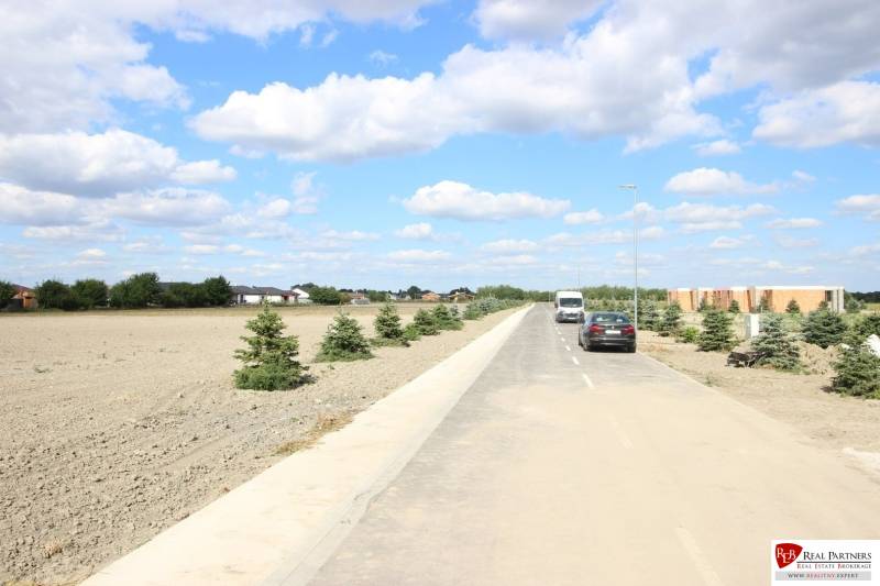 Luxusná veľkometrážna parcela za skvelú cenu Kvetoslavov,2480m2 - Cesta lemujúca mladé stromčeky na ulici Lesopark, s pozemkami vhodnými na bývanie.