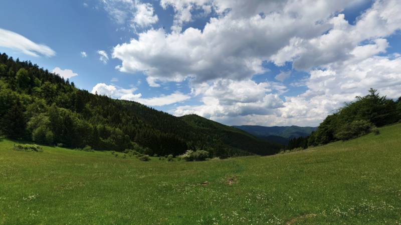 Čavoj – Spoluvlastnícky podiel na lesoch (urbár) - Zelená lúka obklopená lesmi a kopcami v Čavoji, ideálna pre poľnohospodárske a lesné pozemky.