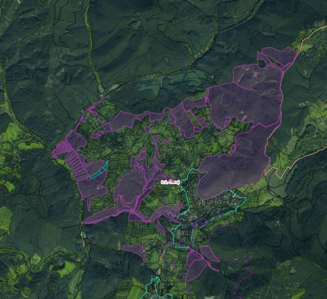Čavoj – Spoluvlastnícky podiel na lesoch (urbár) - Satelitná mapa poľnohospodárskych a lesných pozemkov v okolí Čavoja s farebným značením.