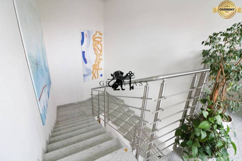 Samostatná kancelária 19,16 m2 - Lamačská cesta - Schodisko v kanceláriách na Lamačskej ceste s umeleckými obrazmi a rastlinou.