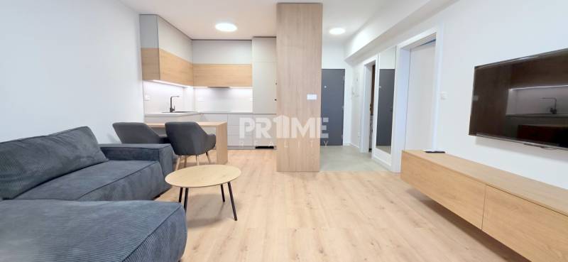 BÝVAJ PRVÝ v 2i byte, DIAMNAT, BALKÓN, KLÍMA, PARKING, Rybničná ulica - Obývacia izba s kuchyňou v 2-izbovom byte, svetlé drevo, sivá sedačka, stena s televízorom.