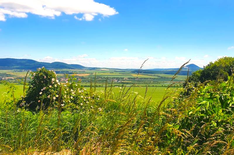 Ražňany – 2.150 m2 PÔDA a LES  - Krajina v okolí Ražňan, Poľnohospodárske a lesné pozemky s rozkvitnutými kvetmi a kopcami.