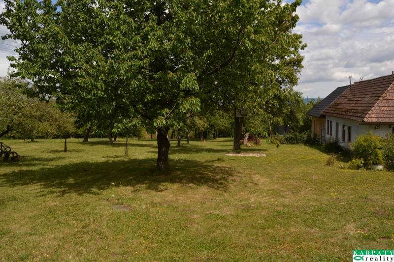 Chalúpka schúlená v okolitých ovocných sadoch! - Záhrada pri rodinnom dome na Poriadí, Poriadie s ovocnými stromami.