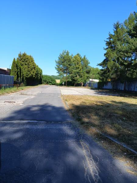 INVESTIČNÝ POZEMOK Prievidza - Asfaltová cesta obklopená stromami a zeleňou v Prievidzi, vhodná na pozemky - bývanie.