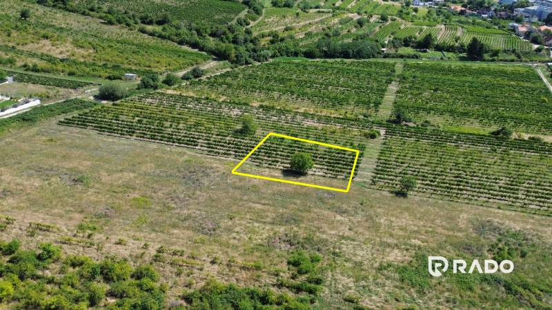Stavebný pozemok 545m2 | Fongy - Rača - Letecký pohľad na vinice v Bratislave-Rači určené na pozemky - bývanie.