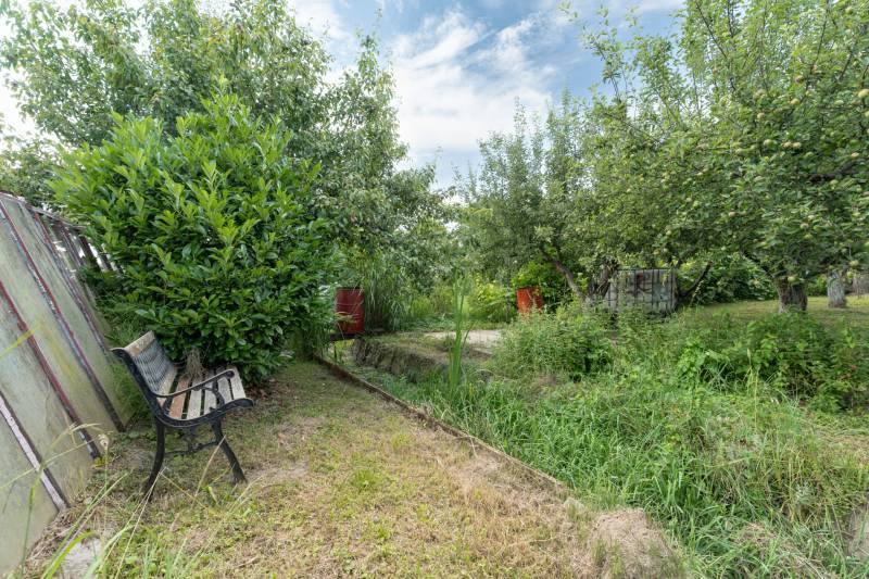 Chata s pekným pozemkom - Košice - Rekreačný areál Čičky - Záhrada pri Chate v Košiciach - mestskej časti Sever, Rekreačná oblasť - Čičky, lavička a stromy.