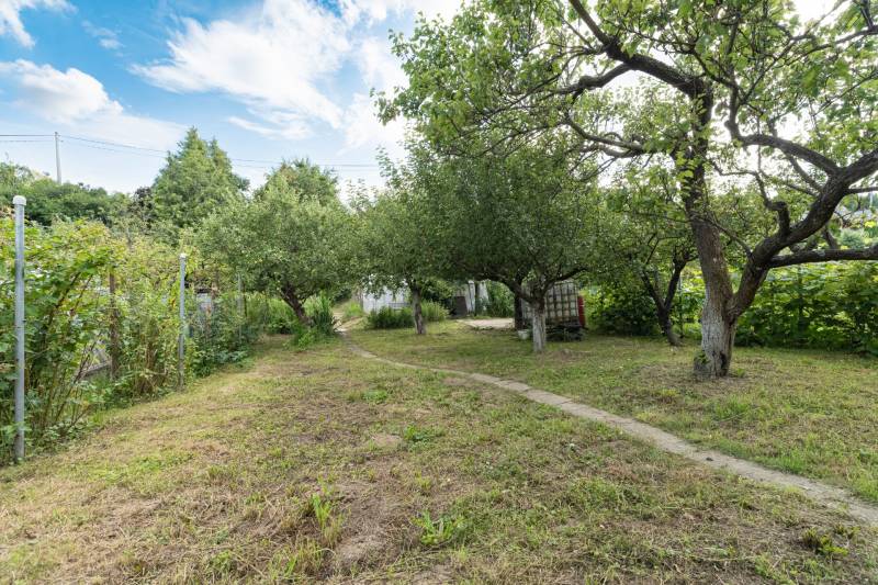 Chata s pekným pozemkom - Košice - Rekreačný areál Čičky - Ovocné stromy a záhrada pri chate v časti Košice - mestská časť Sever, Rekreačná oblasť - Čičky.