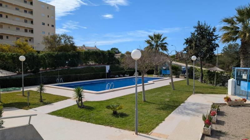 TORREVIEJA -  garsónka v Torreblanca, blízko mora s bazénom - Bazén s palmami a zeleňou na ulici cl. Aquiles v Torrevieja, vhodný pre obyvateľov garsónky.