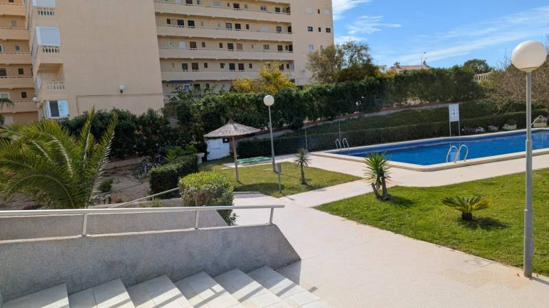 TORREVIEJA -  garsónka v Torreblanca, blízko mora s bazénom - Bazén a záhrada pred apartmánovým komplexom na ulici cl. Aquiles v Torrevieja.