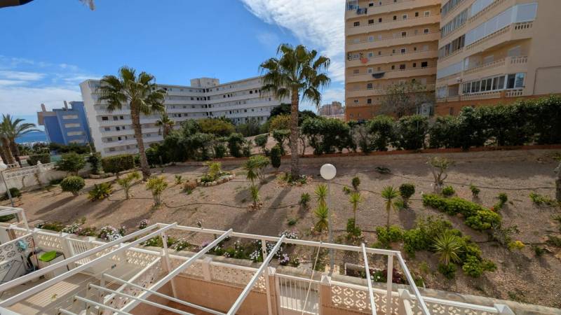 TORREVIEJA -  garsónka v Torreblanca, blízko mora s bazénom - Výhľad z garsónky na ulici cl. Aquiles v Torrevieje s palmami a budovami.