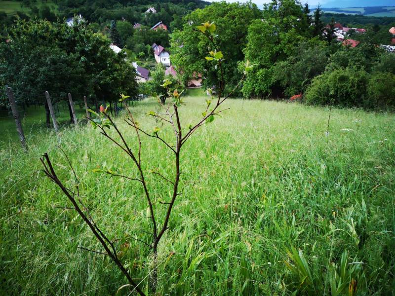 PREDAJ-vidiecky dom s veľkým pozemkom pod lesom, Nitr.Sučany, okr.PD - Príroda v Nitrianskych Sučanoch, rodinné domy medzi zeleňou a kopcami na ulici Nitrianske Sučany.