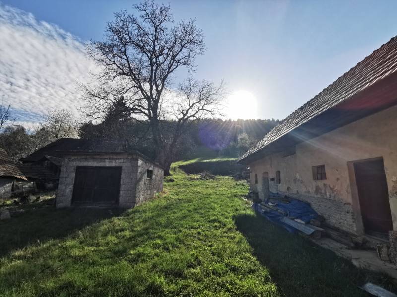 PREDAJ-vidiecky dom s veľkým pozemkom pod lesom, Nitr.Sučany, okr.PD - Trávnatý pozemok s rodinným domom a starou garážou na Nirtrianskej ulici v Nitrianskych Sučanoch.