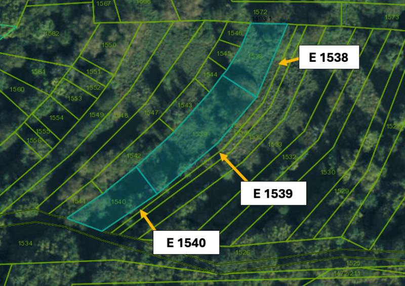 Omastiná – 9.909 m2 LESY a PASIENKY – PREDAJ - Katastrálna mapa zobrazujúca poľnohospodárske a lesné pozemky pri Omastinej s parcelnými číslami.