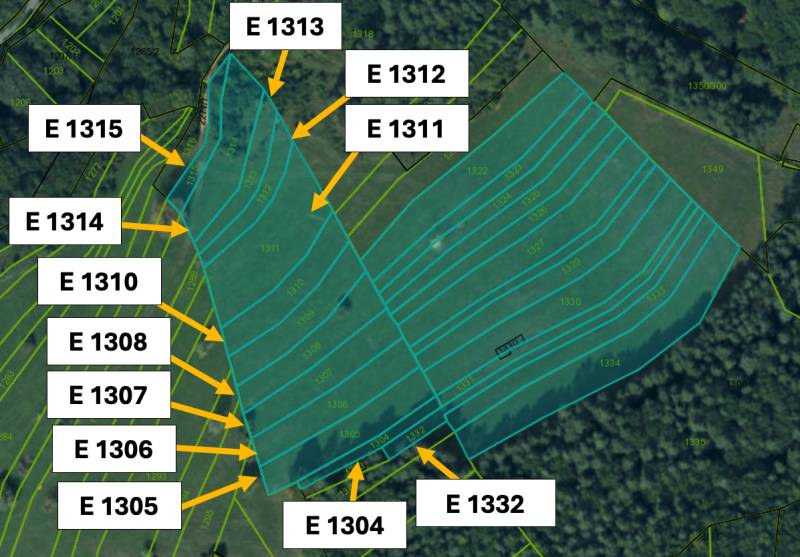 Omastiná – 9.909 m2 LESY a PASIENKY – PREDAJ - Mapa poľnohospodárskych a lesných pozemkov v Omastinej s označenými parcelami.