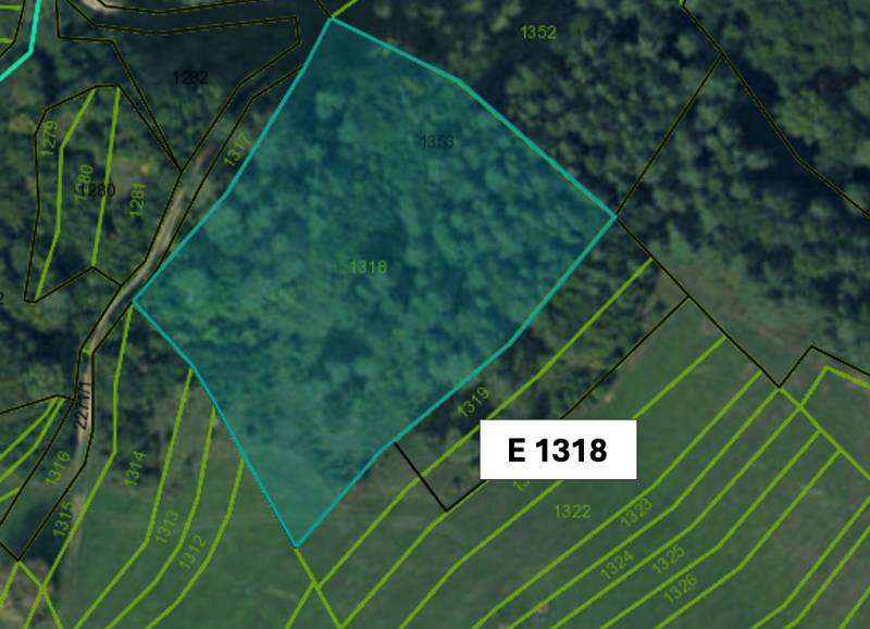 Omastiná – 9.909 m2 LESY a PASIENKY – PREDAJ - Mapa zachytáva parcely lesných pozemkov v oblasti Omastiná.
